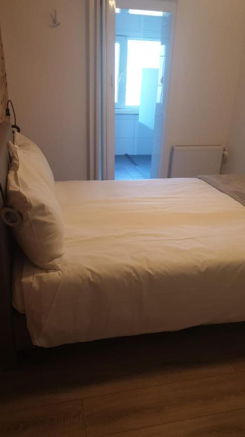 Hotel B&B Sint-Maria Next Door 팔켄뷔르흐안더횔 외부 사진